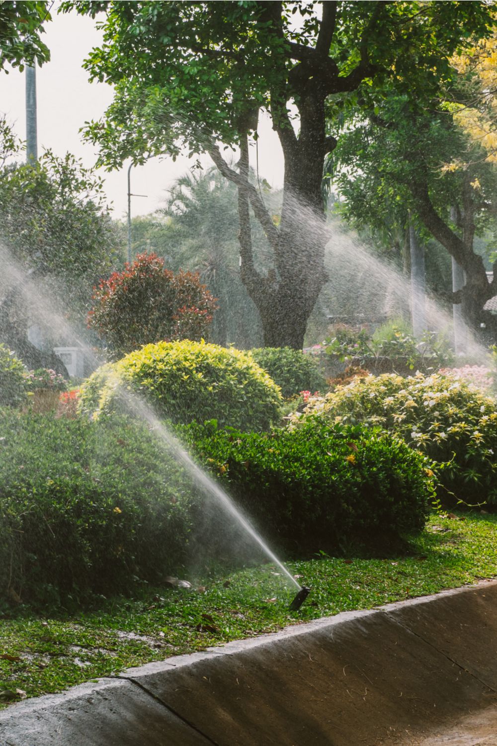 Полив рослин у саду